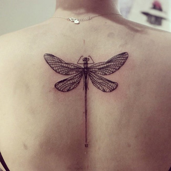 Dragonfly Tattoo Meanings  iTattooDesignscom