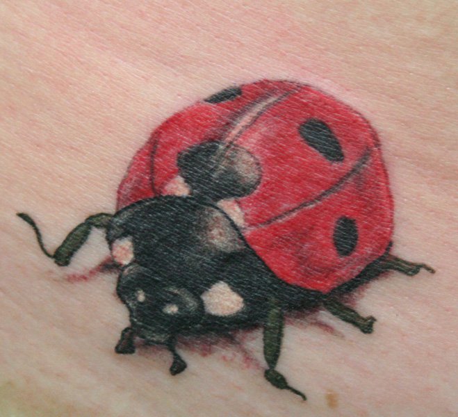 40 Amazing Ladybird Tattoos with Meaning  Body Art Guru