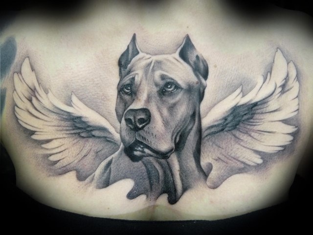 Realistic dog portrait tattoo recommendations in UK Looking to get one of  my boy Please see few examples for reference  rTattooDesigns