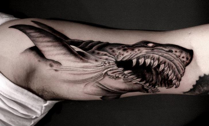 Shark tattoo a symbol of strength and endurance   Онлайн блог о тату  IdeasTattoo