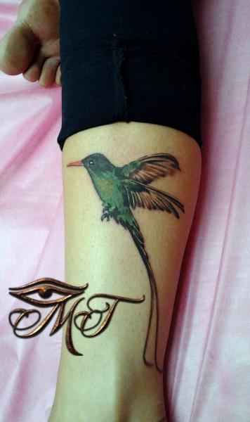jamaica national bird tattooTikTok Search